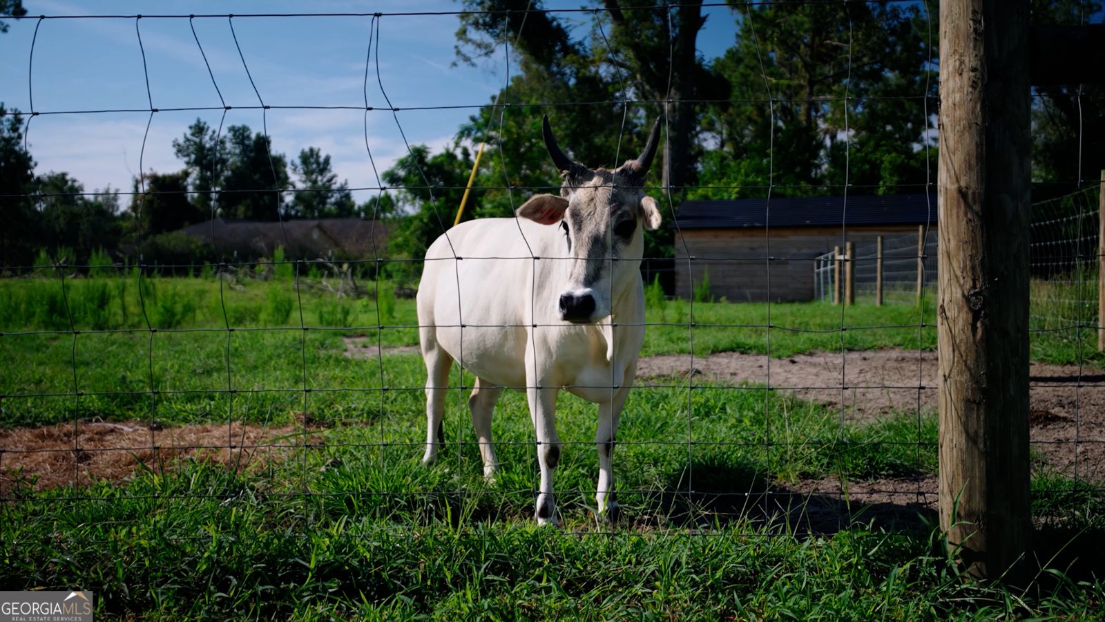 485 Beaver Kreek Road Douglas - Photo 34