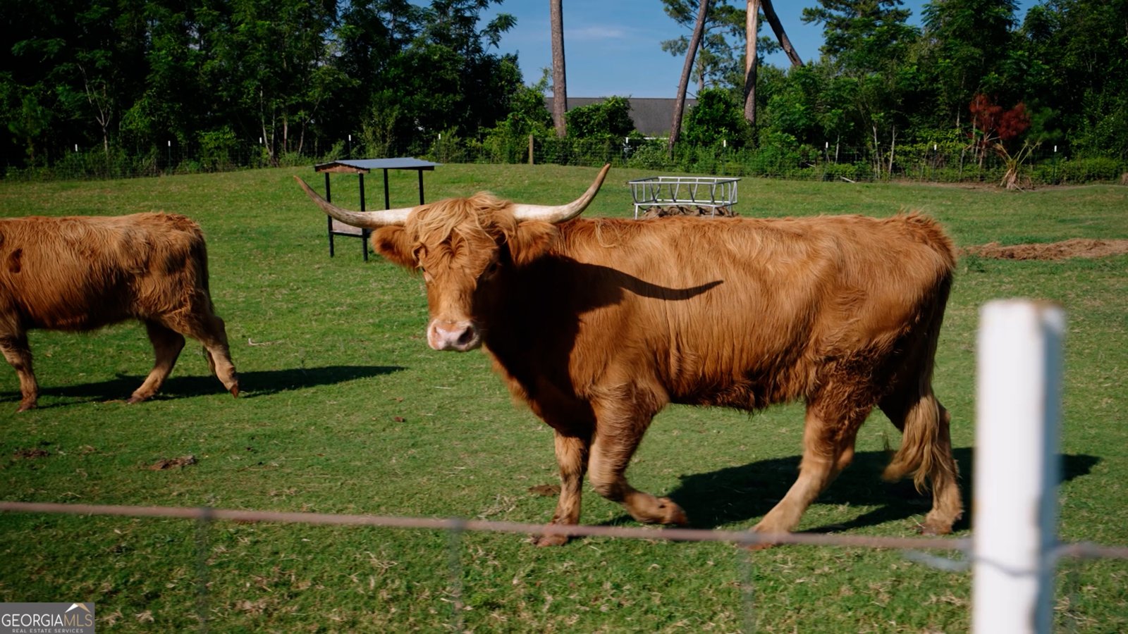 485 Beaver Kreek Road Douglas - Photo 36