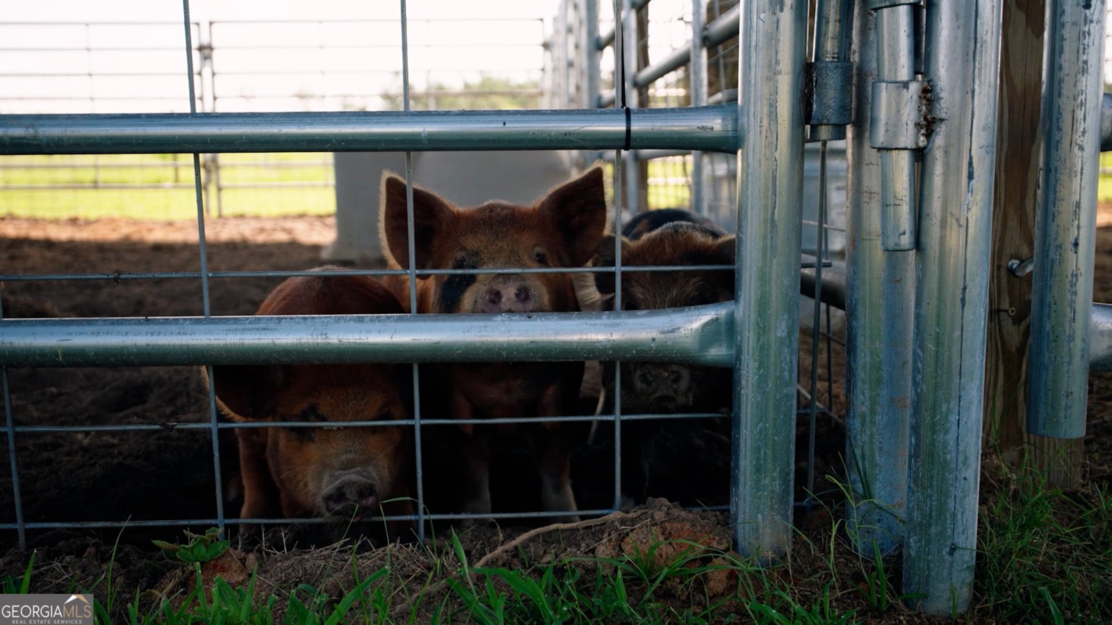 485 Beaver Kreek Road Douglas - Photo 37