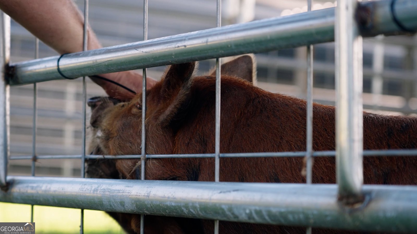 485 Beaver Kreek Road Douglas - Photo 38