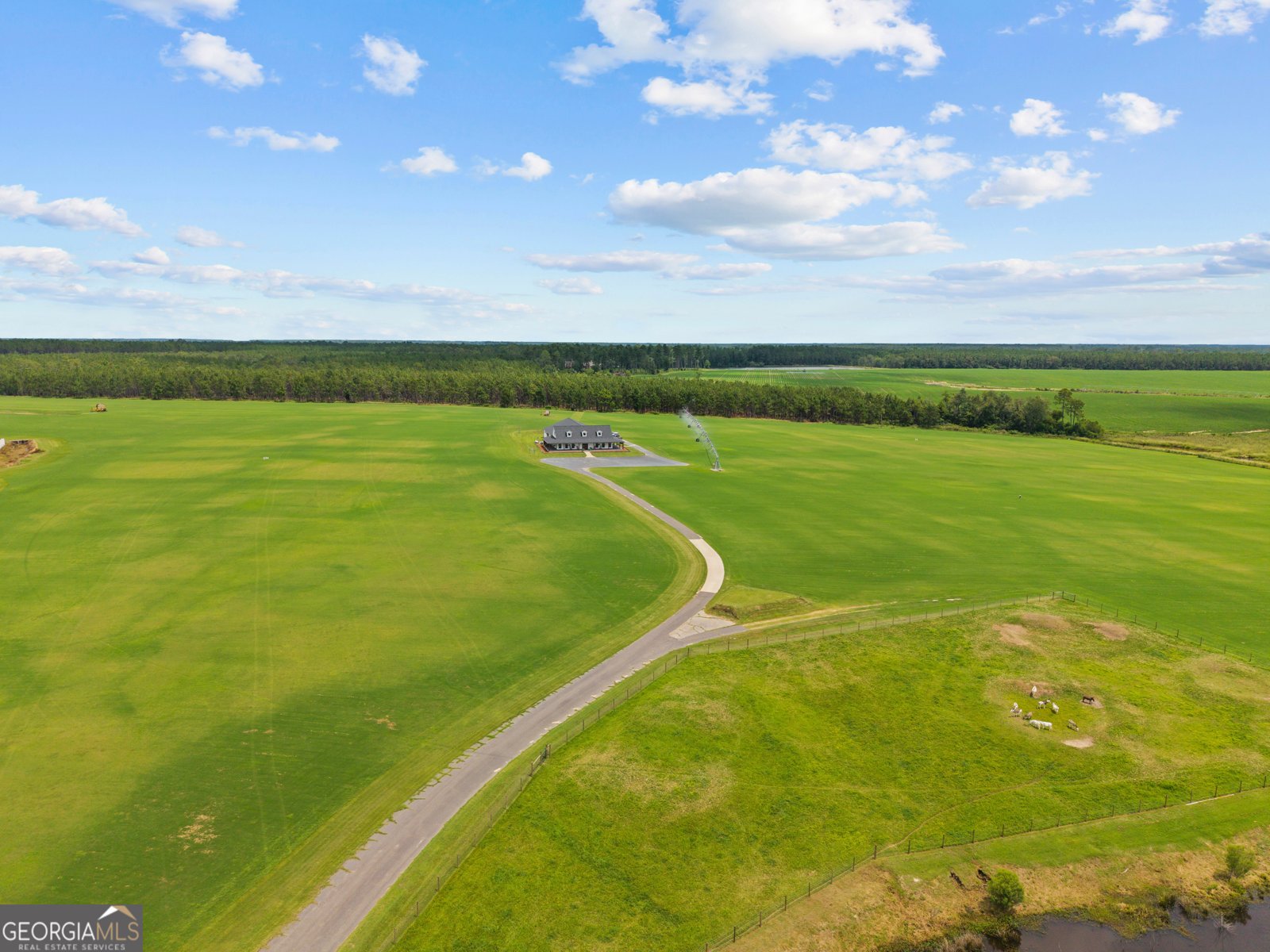 485 Beaver Kreek Road Douglas - Photo 51