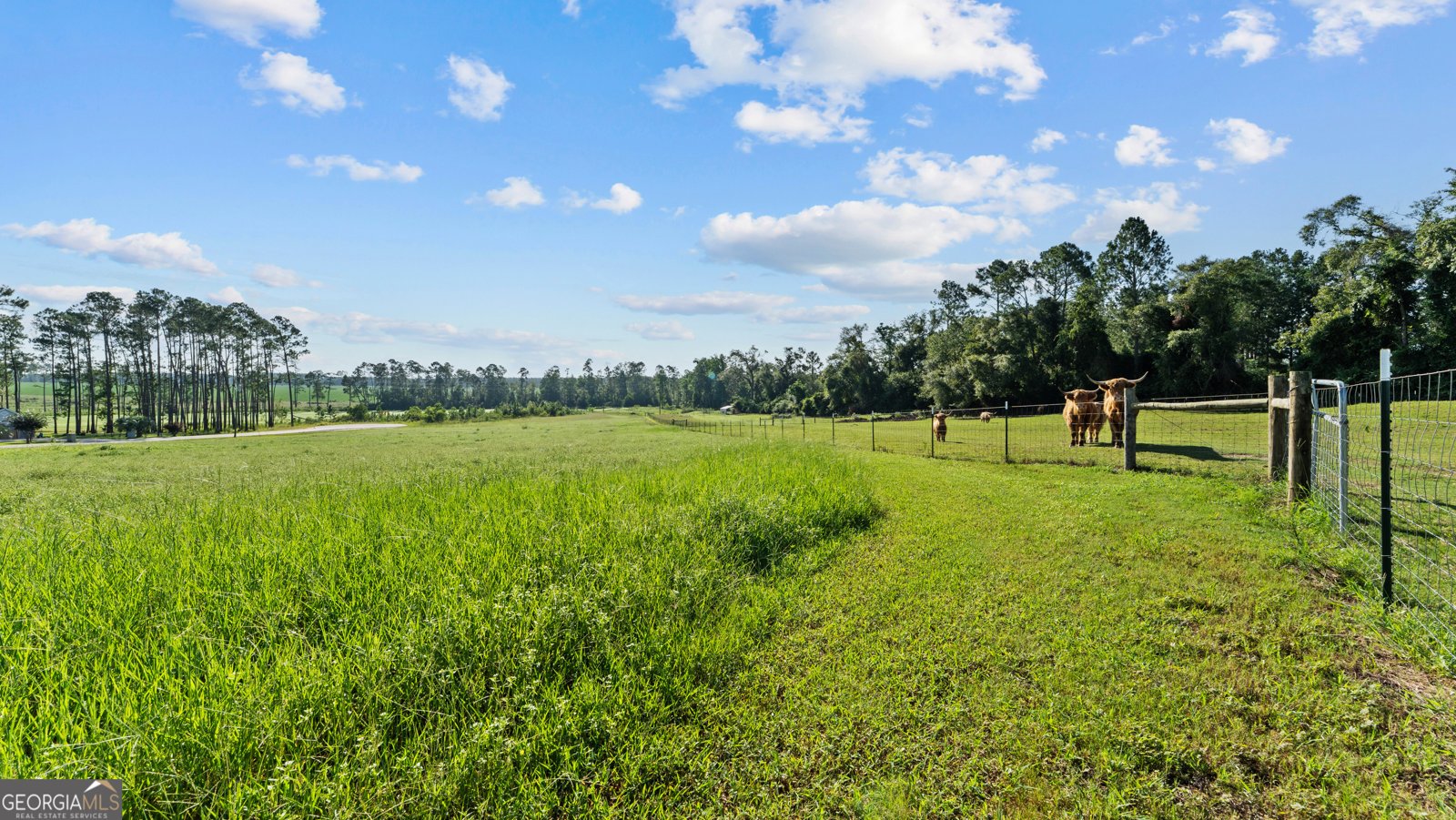 485 Beaver Kreek Road Douglas - Photo 81