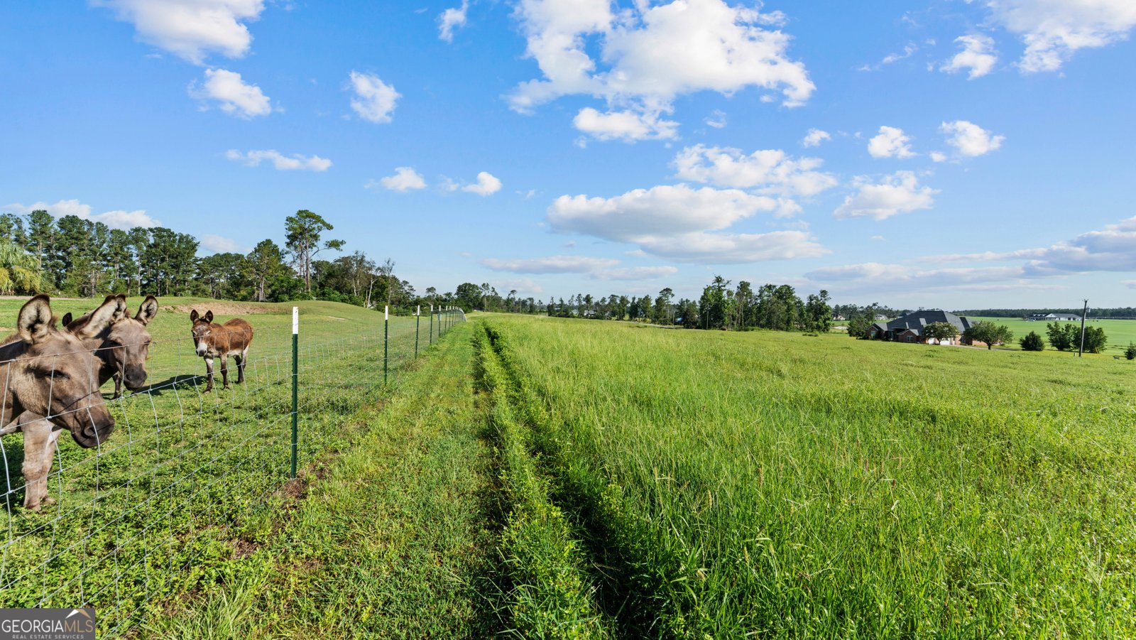 485 Beaver Kreek Road Douglas - Photo 82