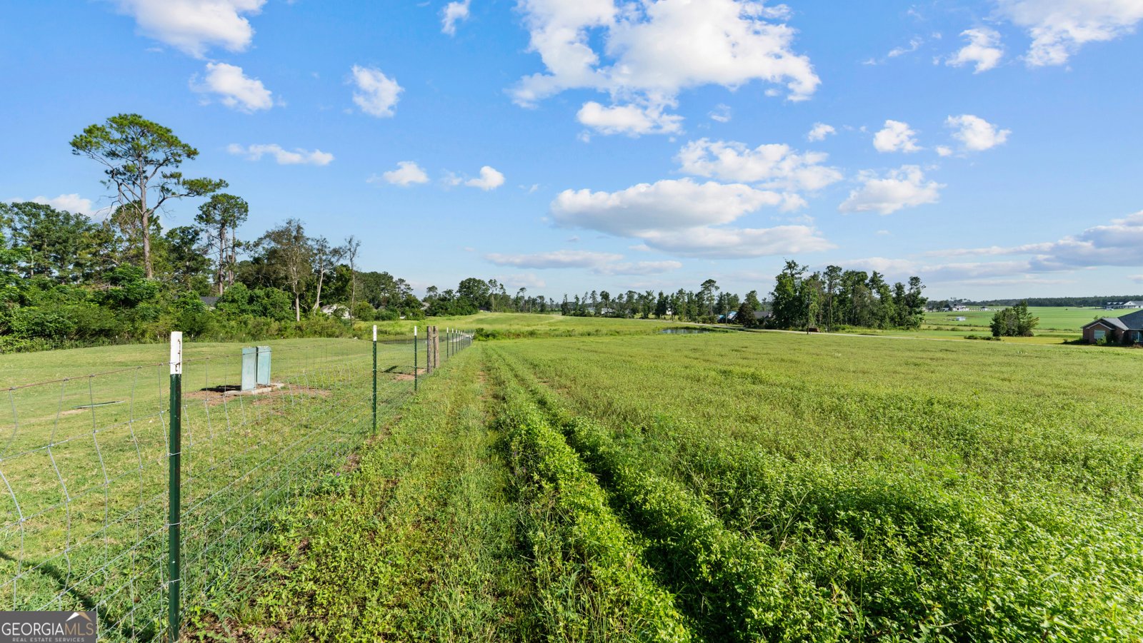 485 Beaver Kreek Road Douglas - Photo 83