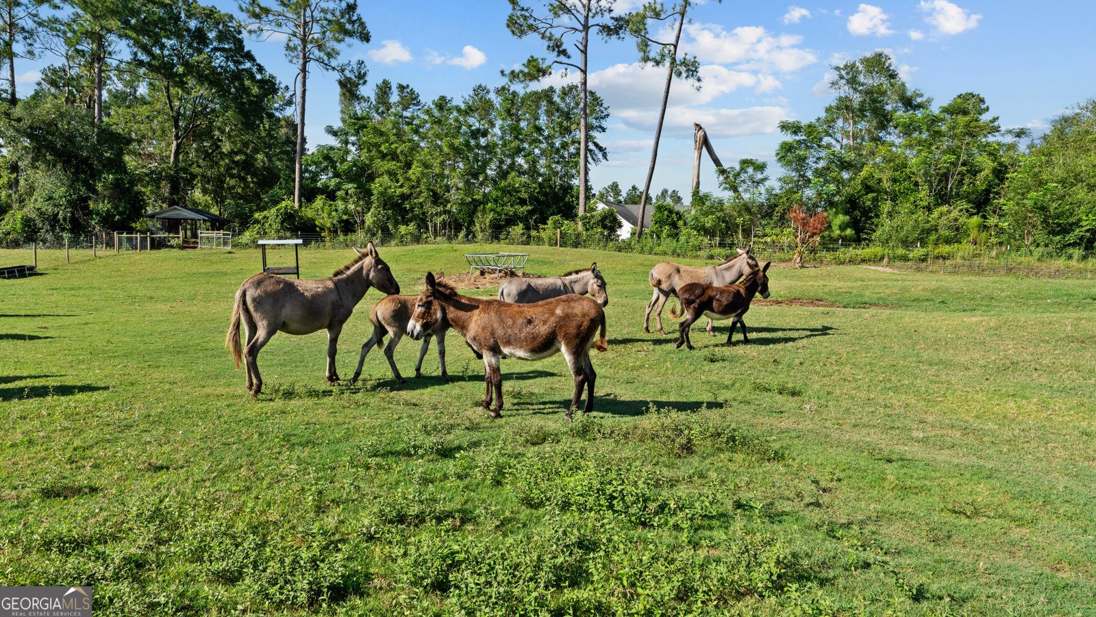 485 Beaver Kreek Road Douglas - Photo 84