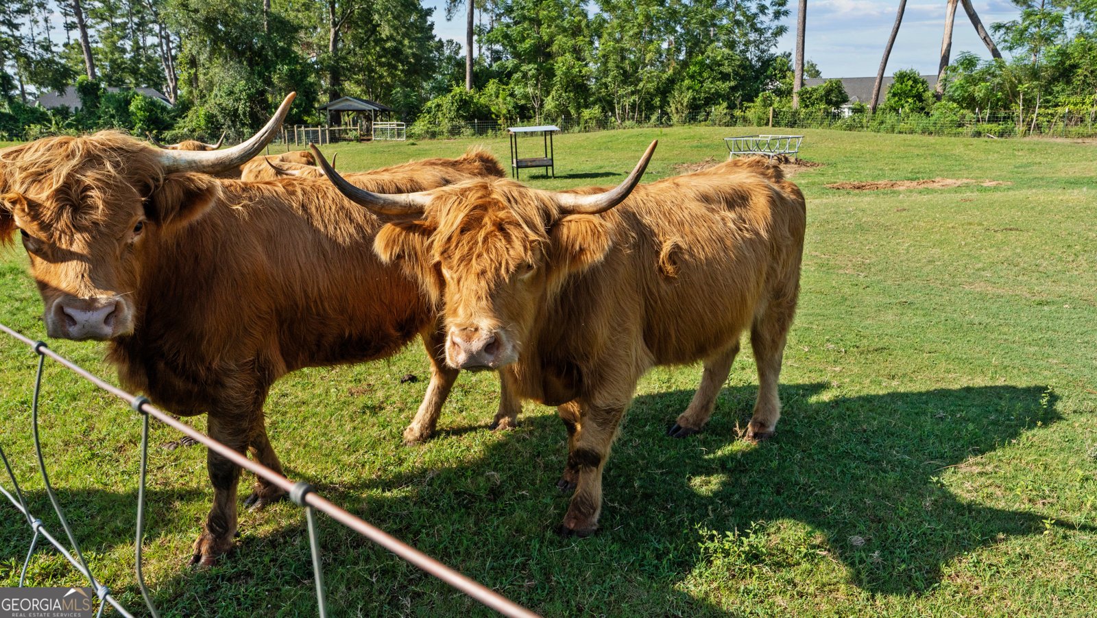 485 Beaver Kreek Road Douglas - Photo 85