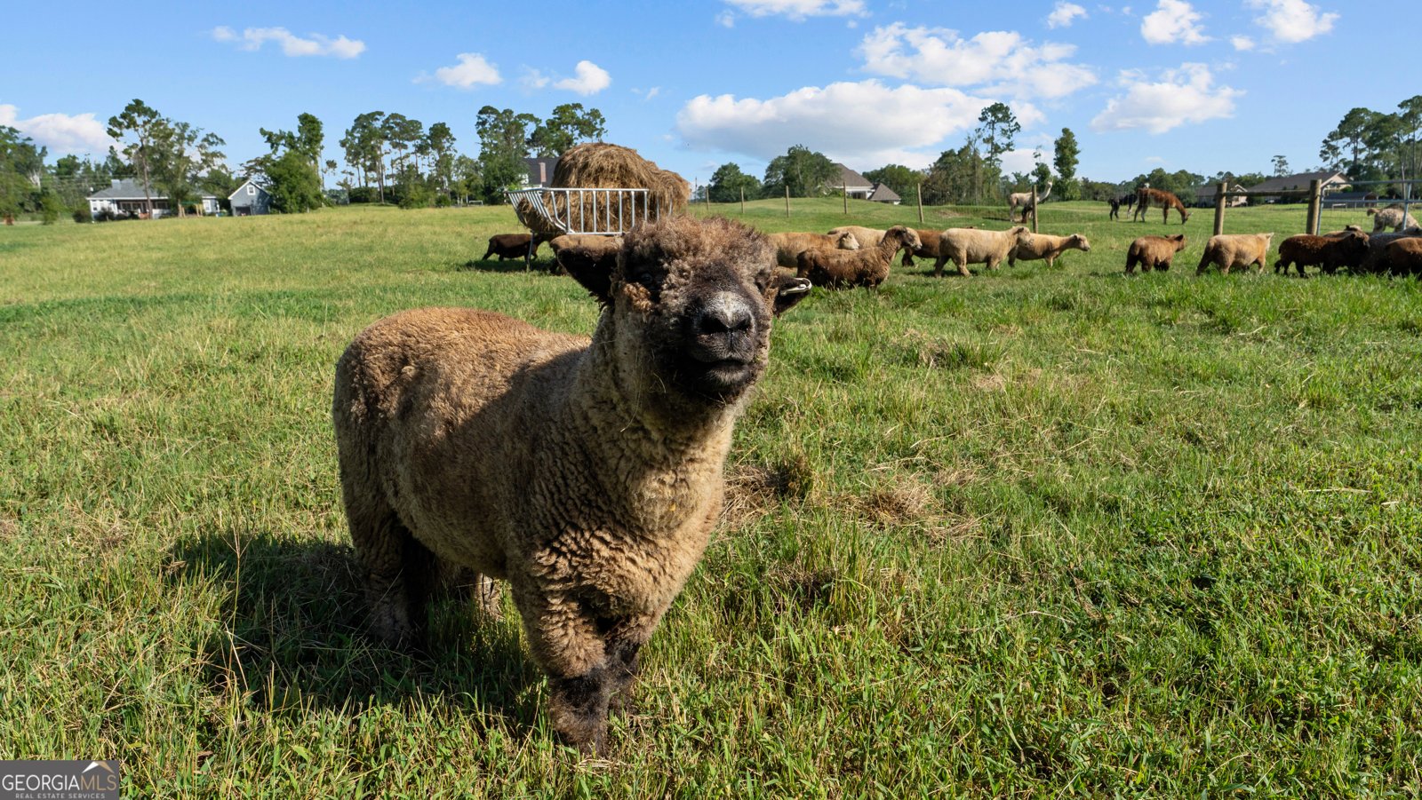 485 Beaver Kreek Road Douglas - Photo 87