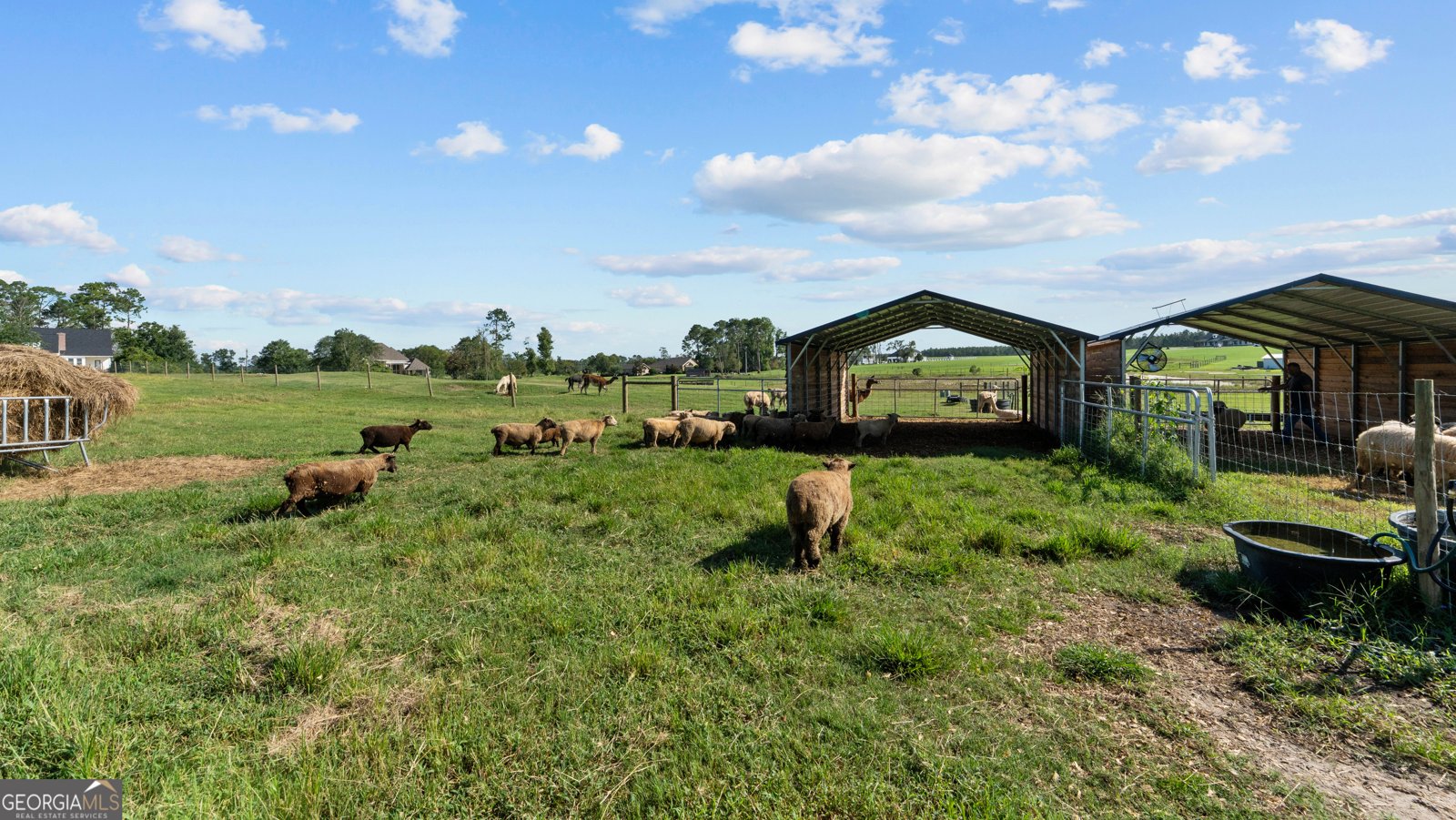 485 Beaver Kreek Road Douglas - Photo 88