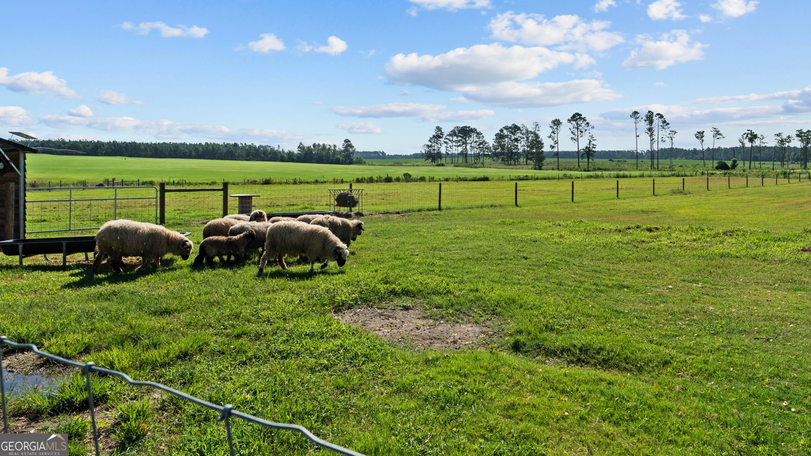 485 Beaver Kreek Road Douglas - Photo 89