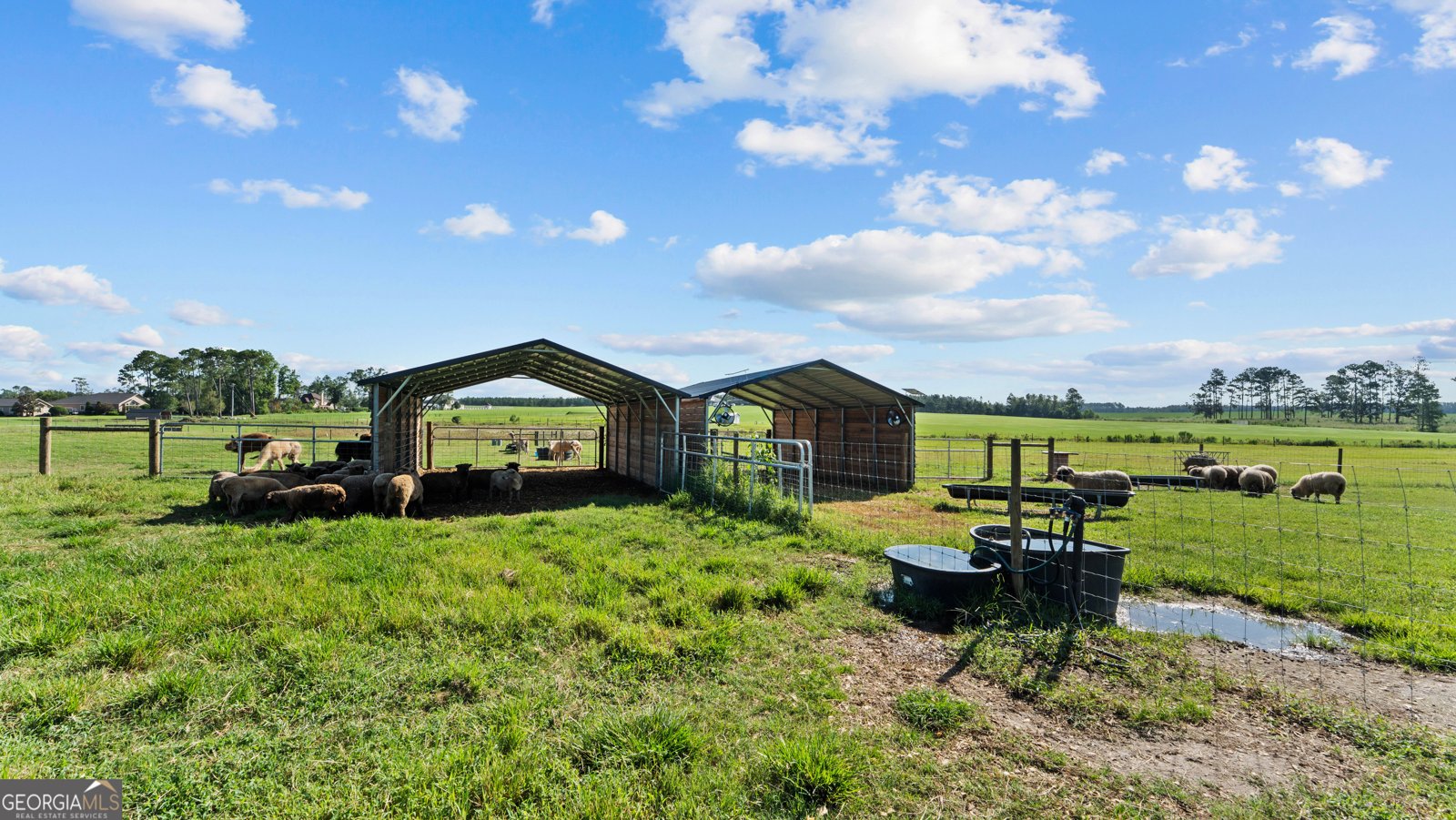 485 Beaver Kreek Road Douglas - Photo 90