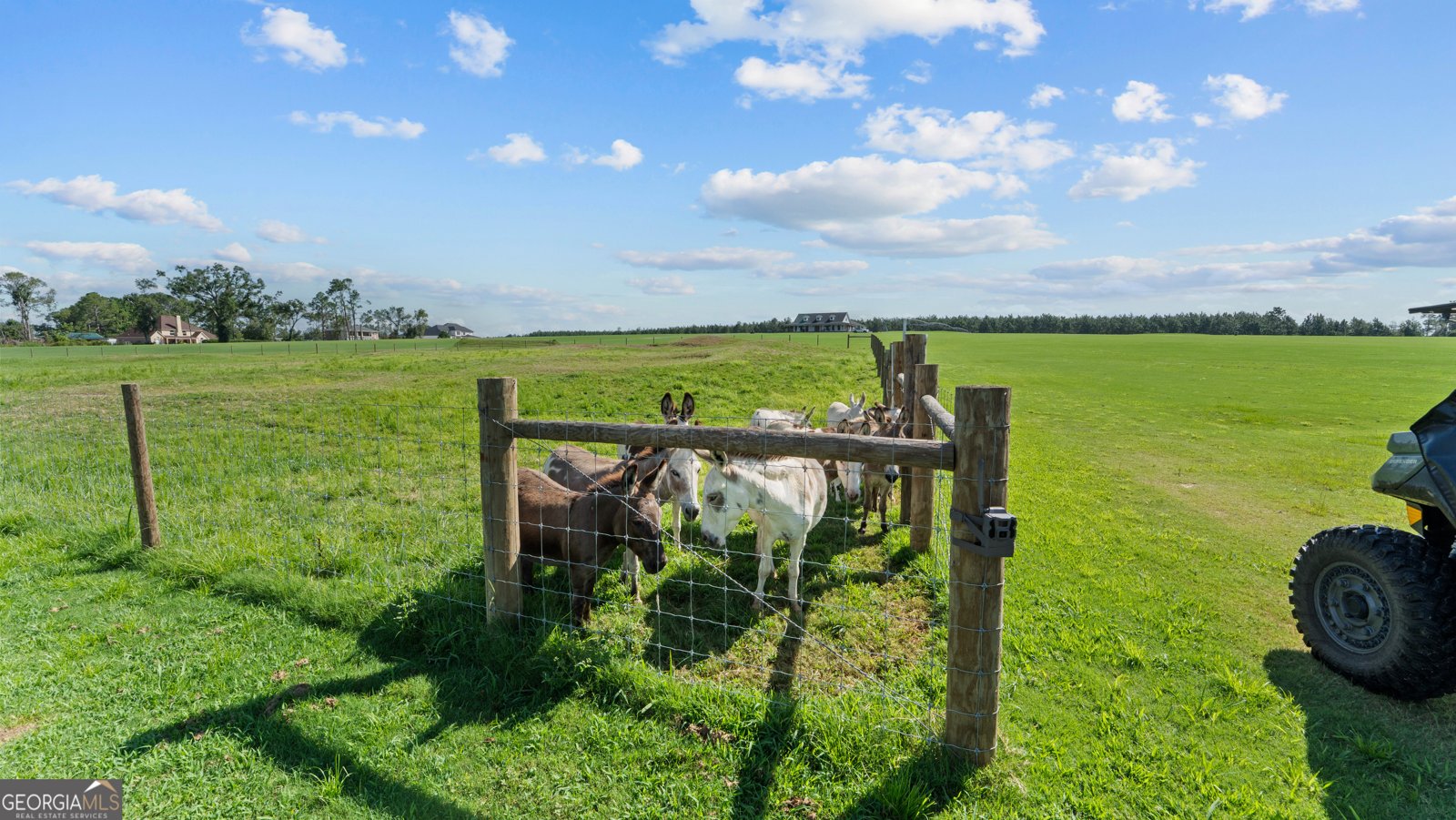 485 Beaver Kreek Road Douglas - Photo 95