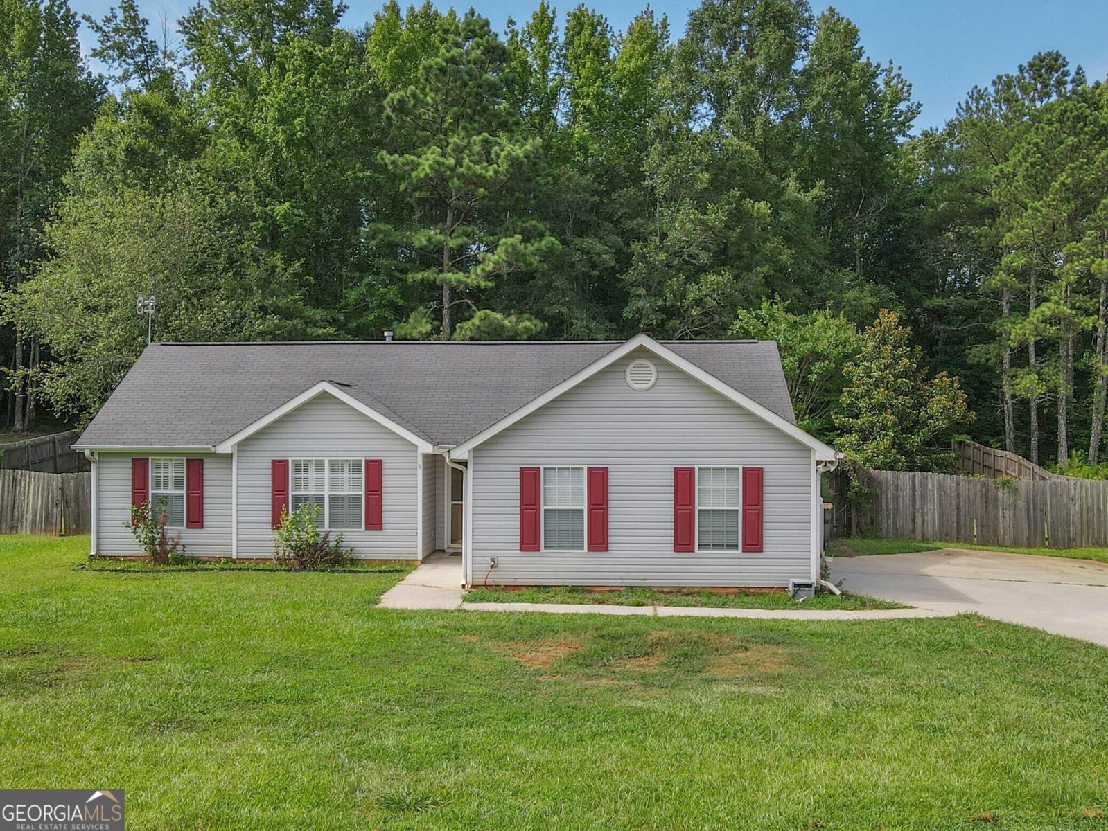 525 Hayward Bishop Way Senoia - 1
