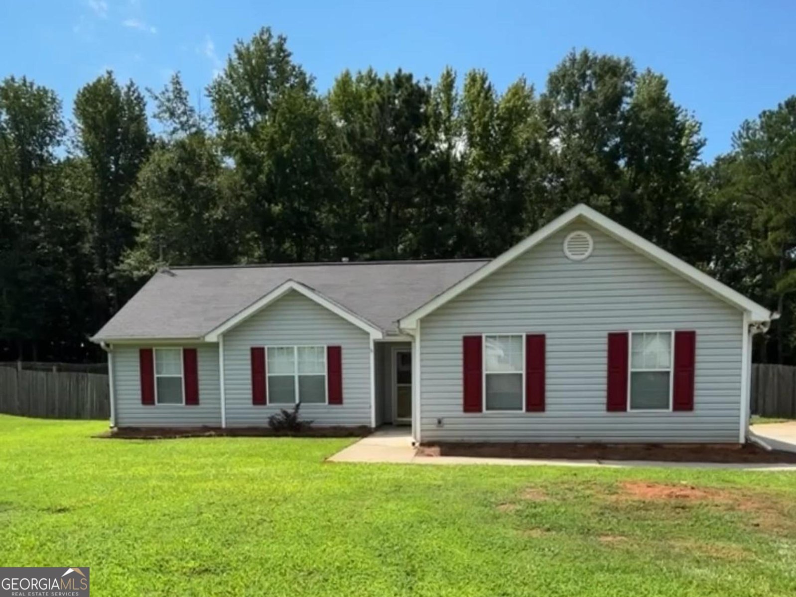 525 Hayward Bishop Way Senoia - 3