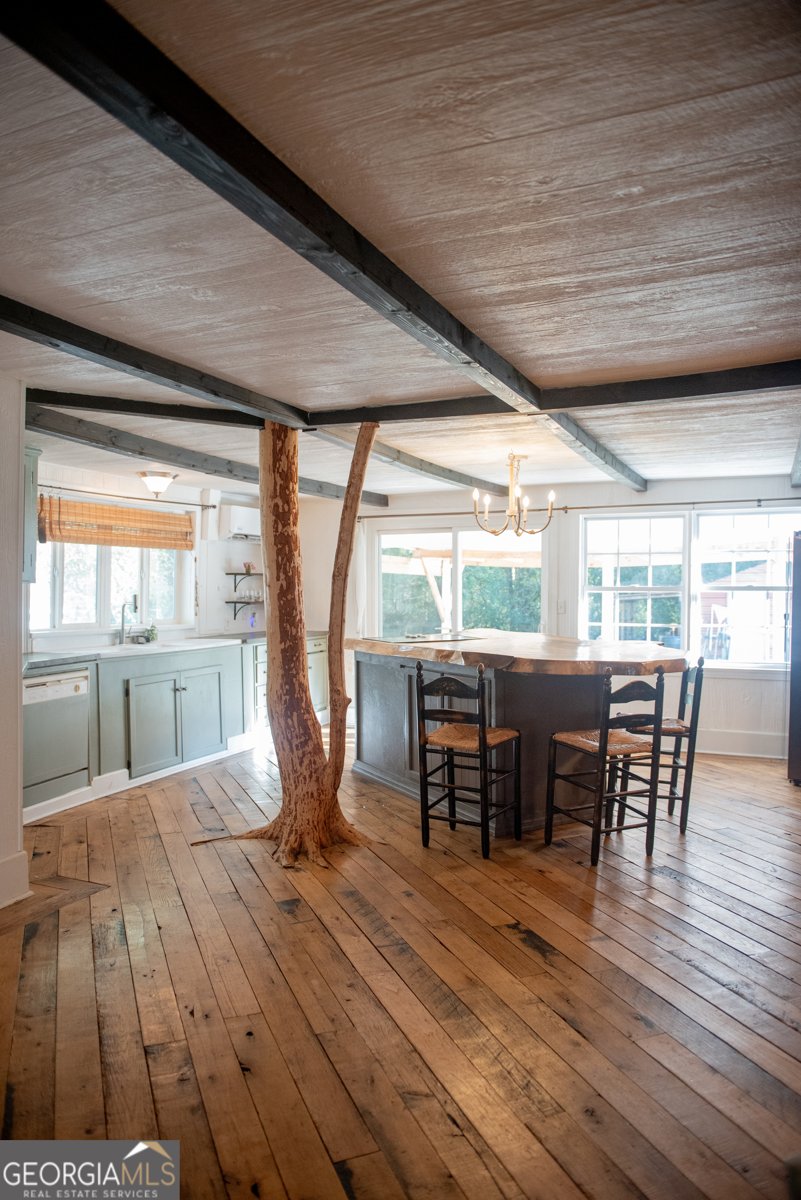 362 Wilson Loop Cohutta - 15