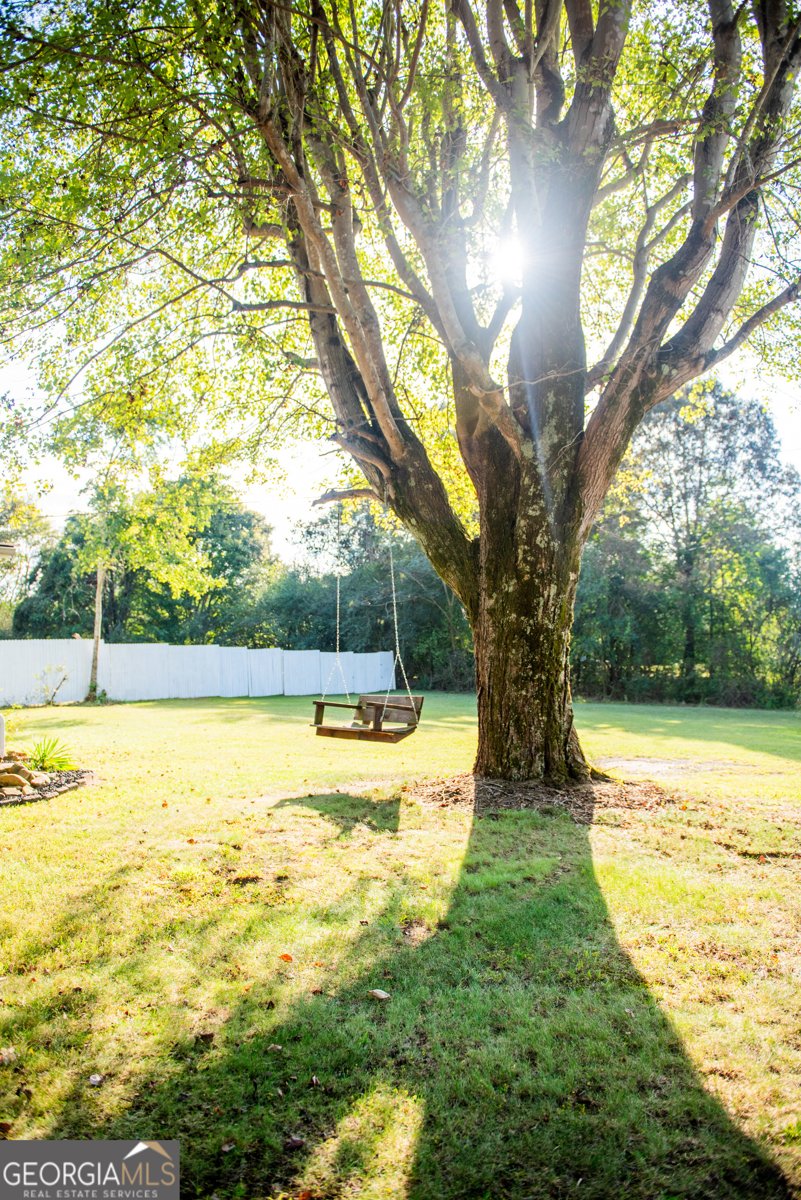 362 Wilson Loop Cohutta - 4