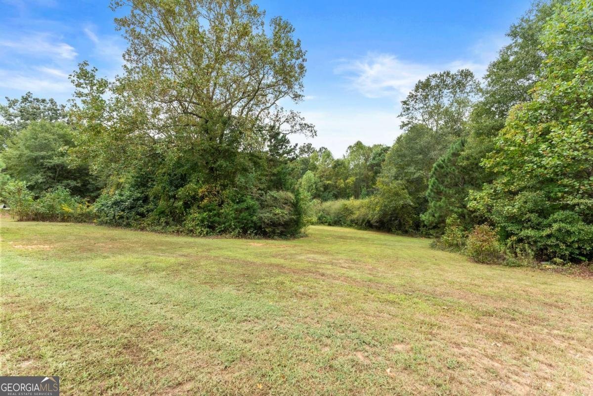 1689 Old State Road Pendergrass - 44
