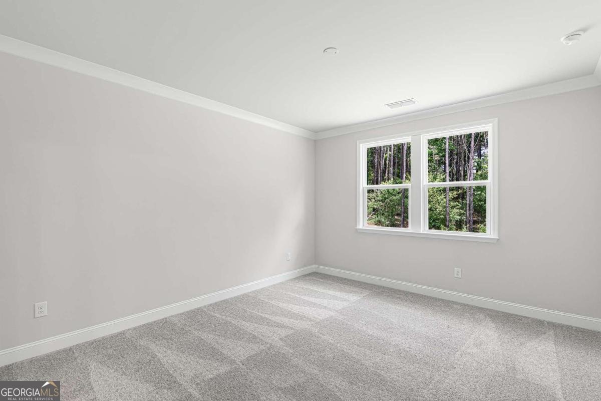 1134 LeConte Court Griffin - 20