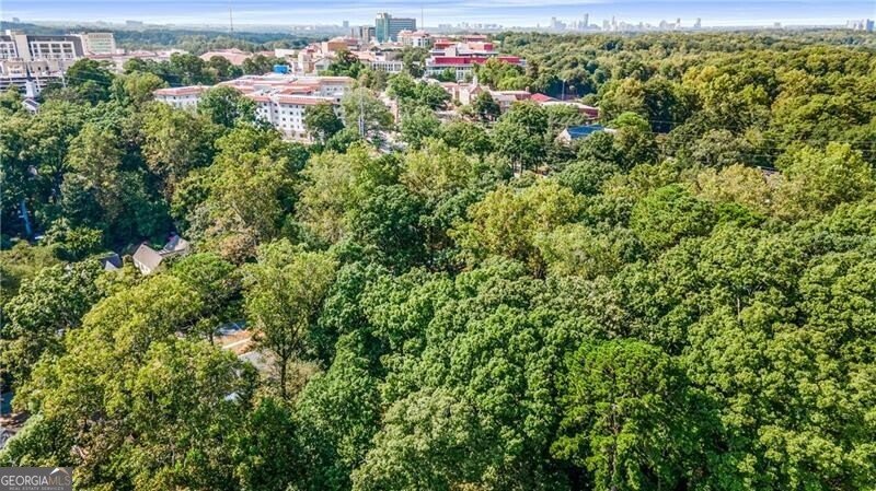 519 Durand Drive Atlanta - 17