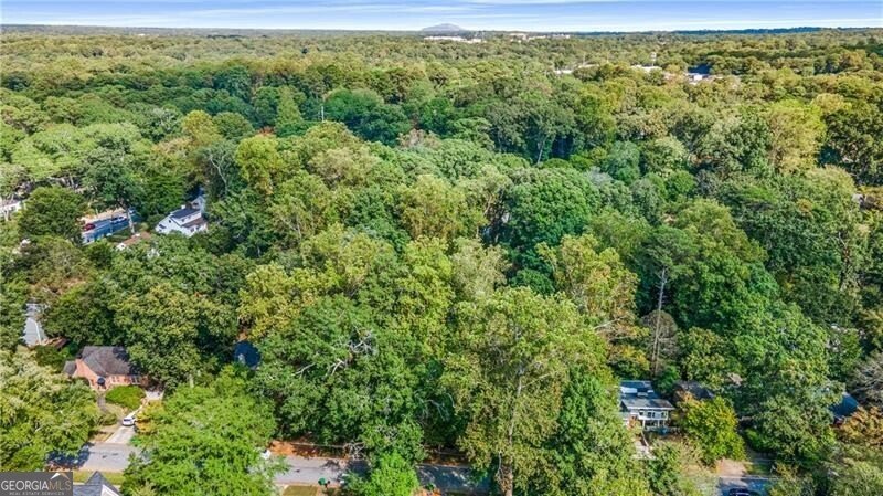 519 Durand Drive Atlanta - 21