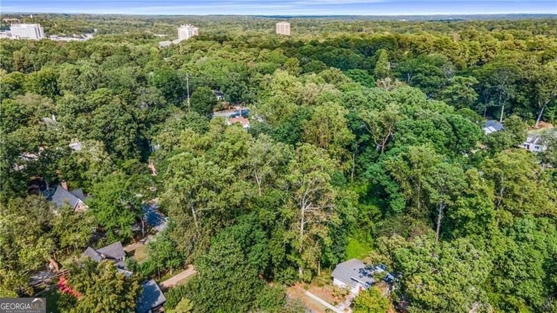 519 Durand Drive Atlanta - 22