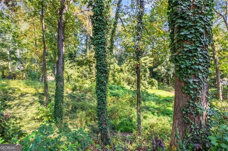 519 Durand Drive Atlanta - 6