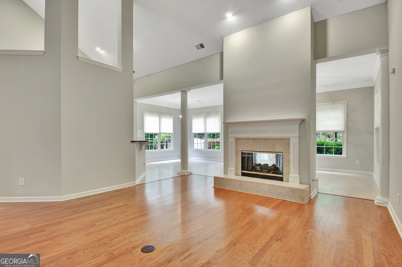226 Collierstown Way Peachtree City - 18