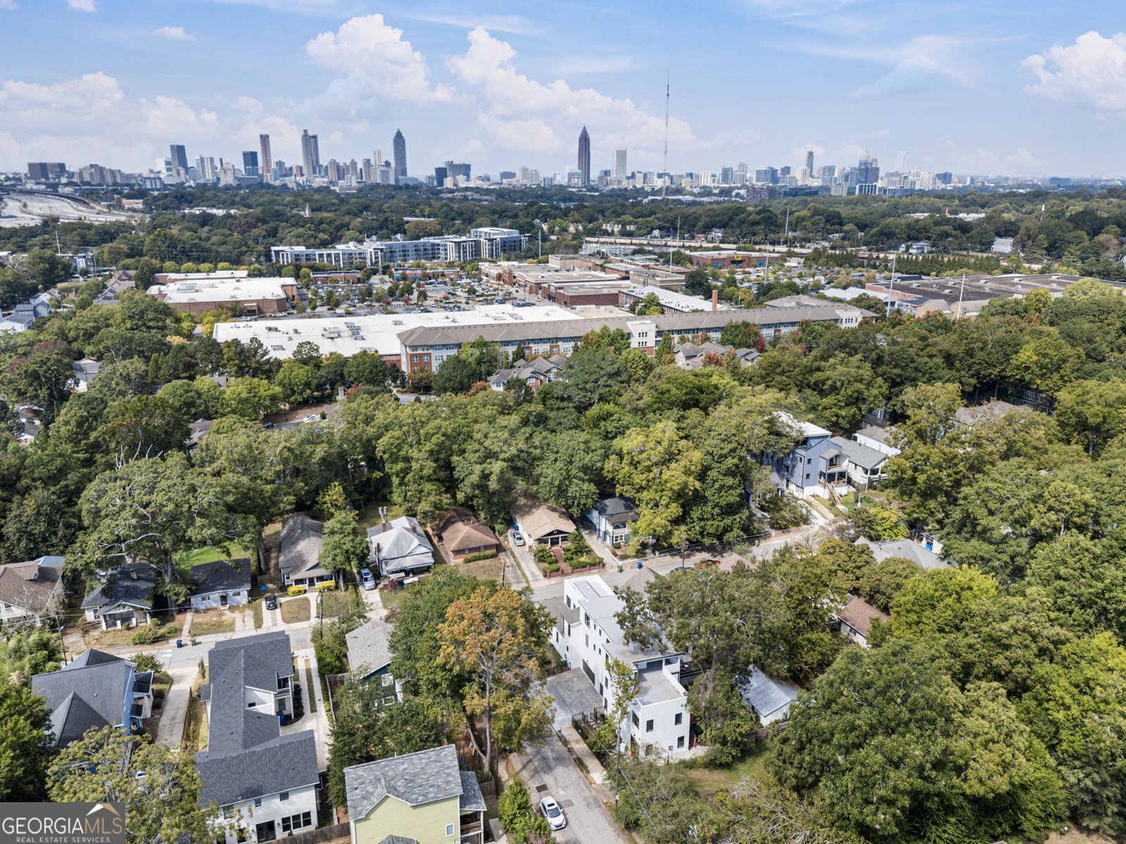109 Flora Avenue Atlanta - 3