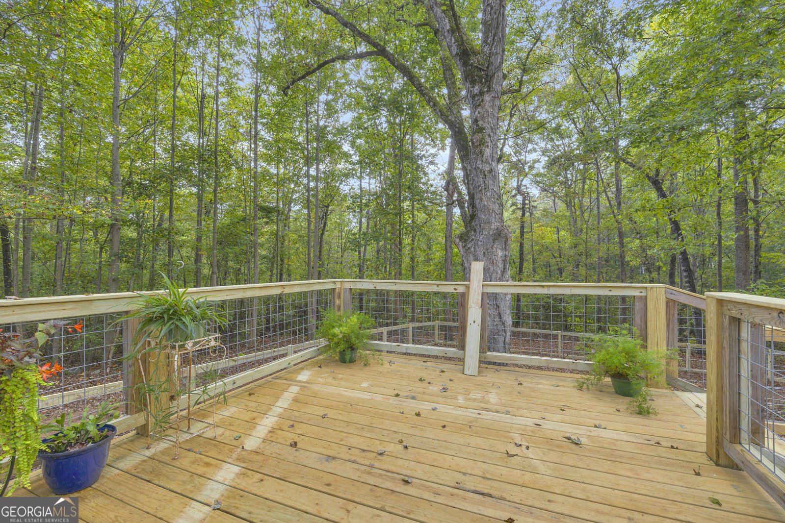 163 M T Trail Commerce - 6