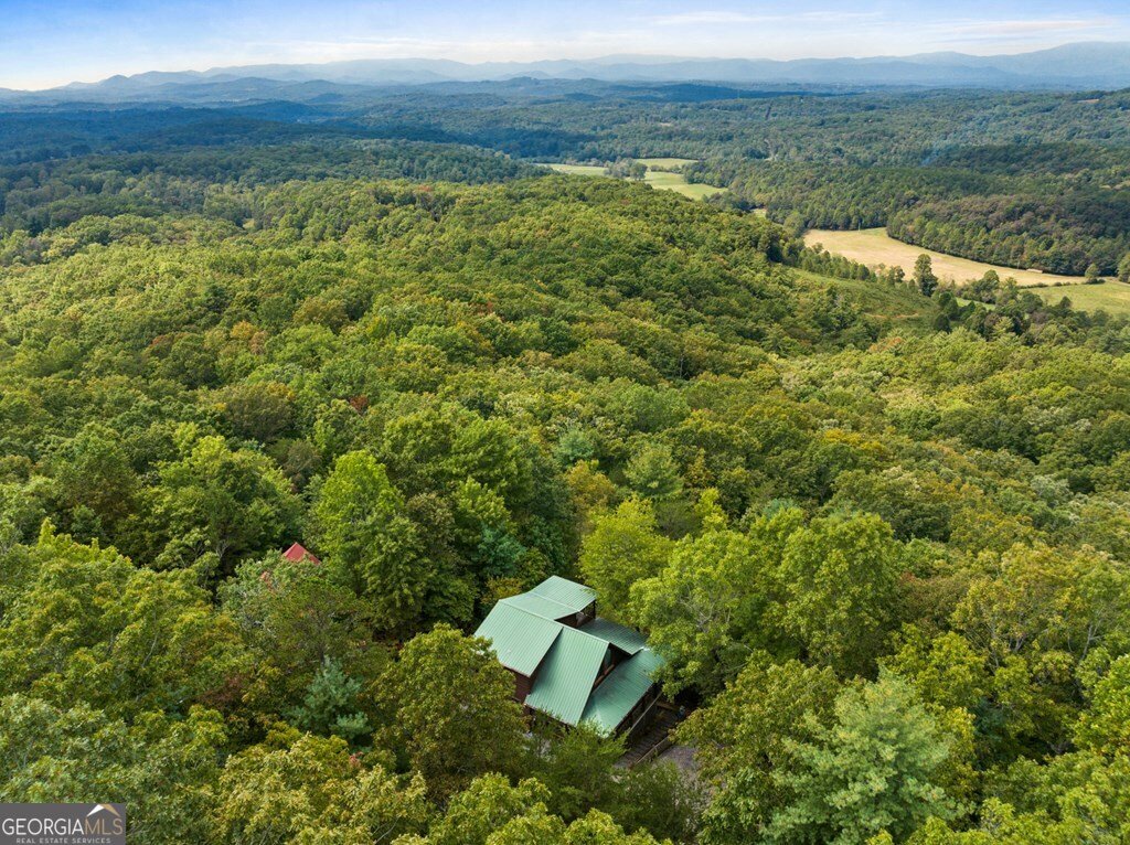 100 Wintermute Drive Mineral Bluff - 14