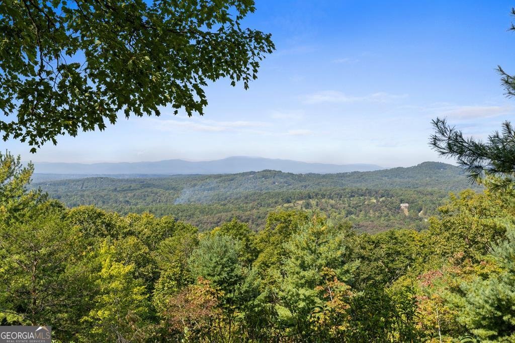 100 Wintermute Drive Mineral Bluff - 16