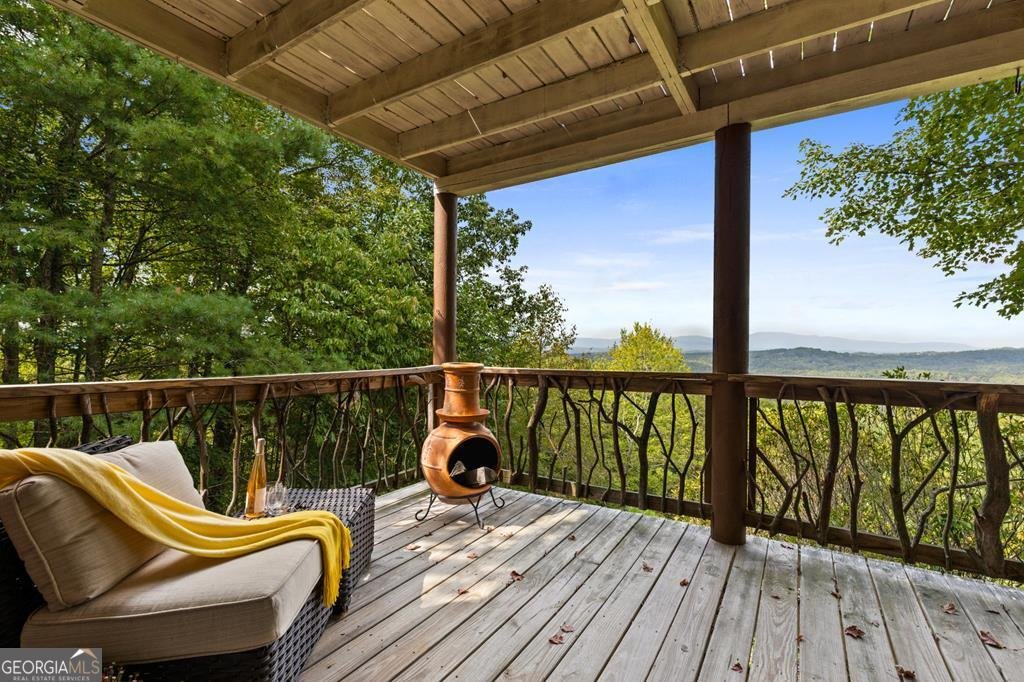 100 Wintermute Drive Mineral Bluff - 21