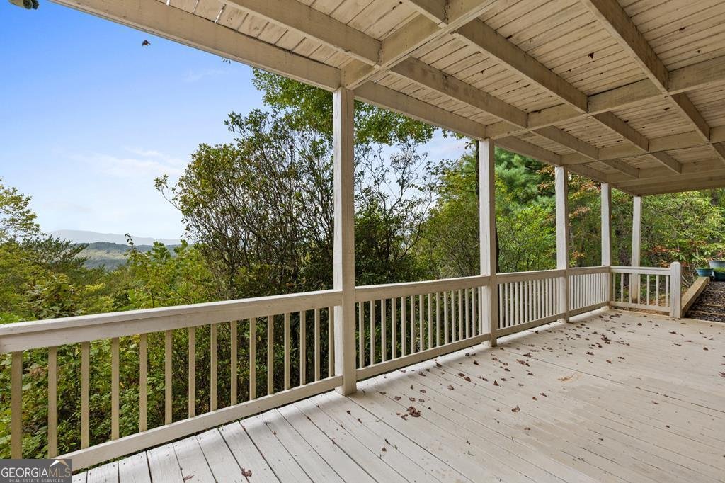 100 Wintermute Drive Mineral Bluff - 36