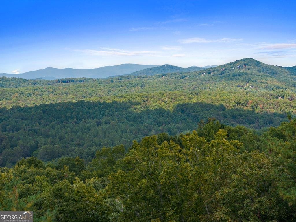 100 Wintermute Drive Mineral Bluff - 4