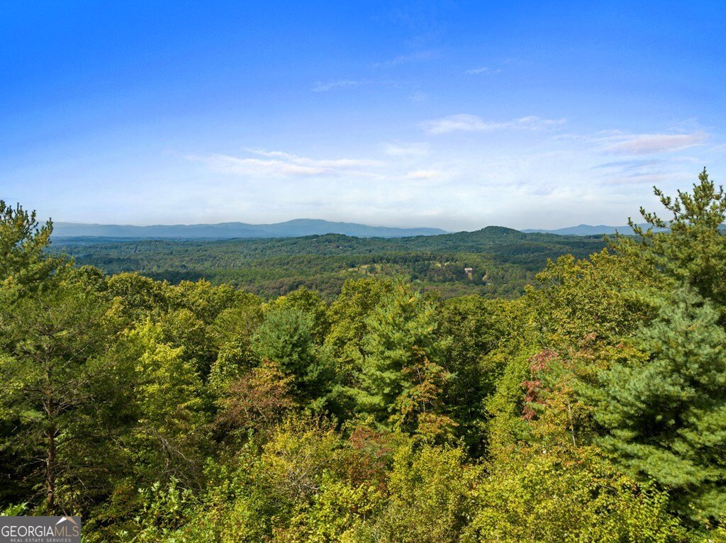 100 Wintermute Drive Mineral Bluff - 7