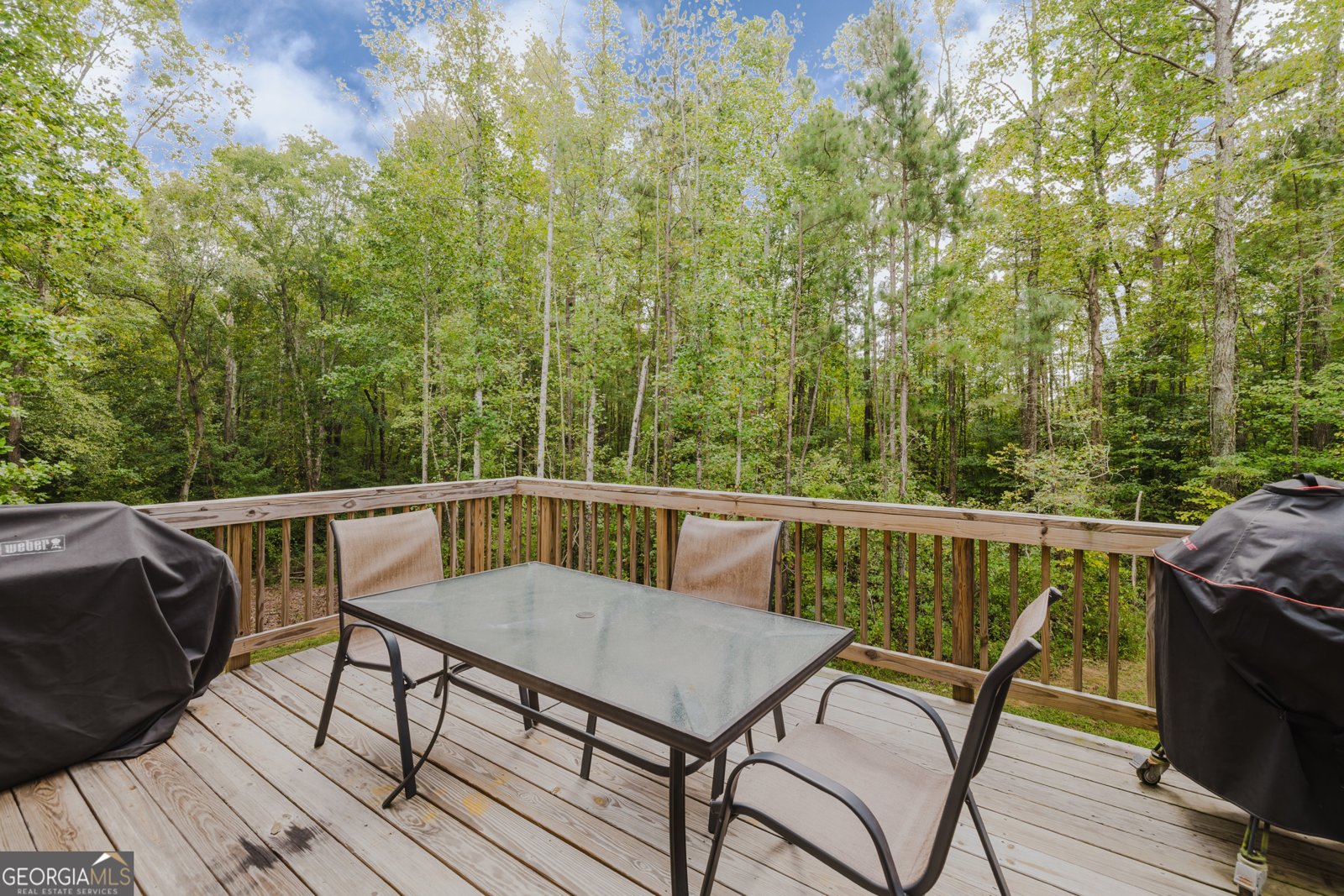228 Benson Meadows Drive Dallas - 6