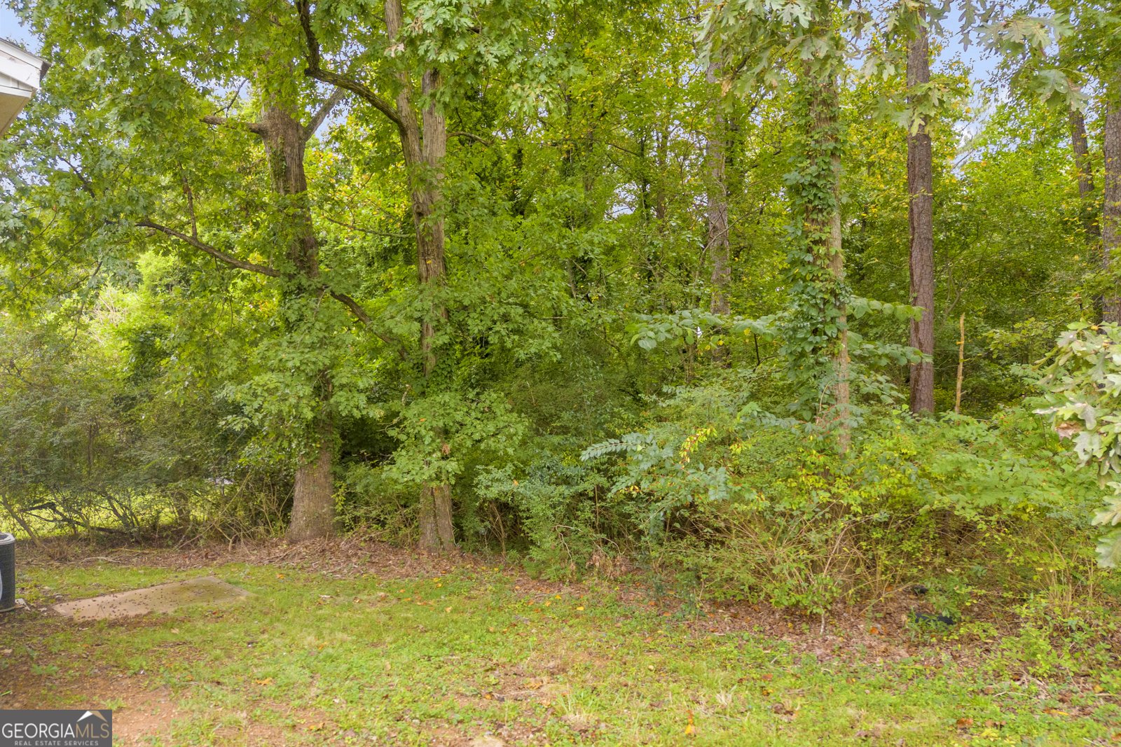 303 Martin Circle Athens - 21