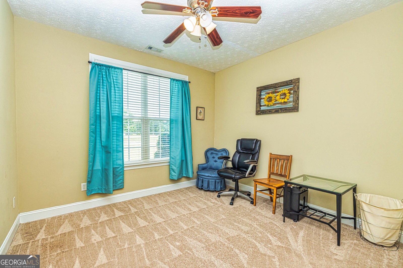 30 Hunter Farm Drive Senoia - 24