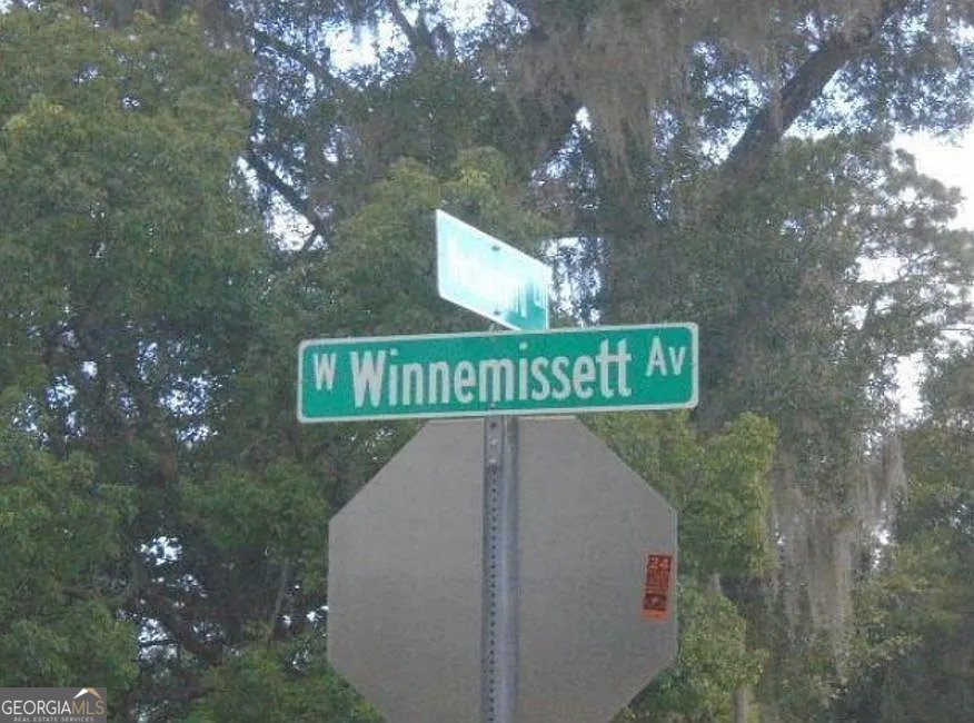 1512 Winnemissett Avenue Deland - 4