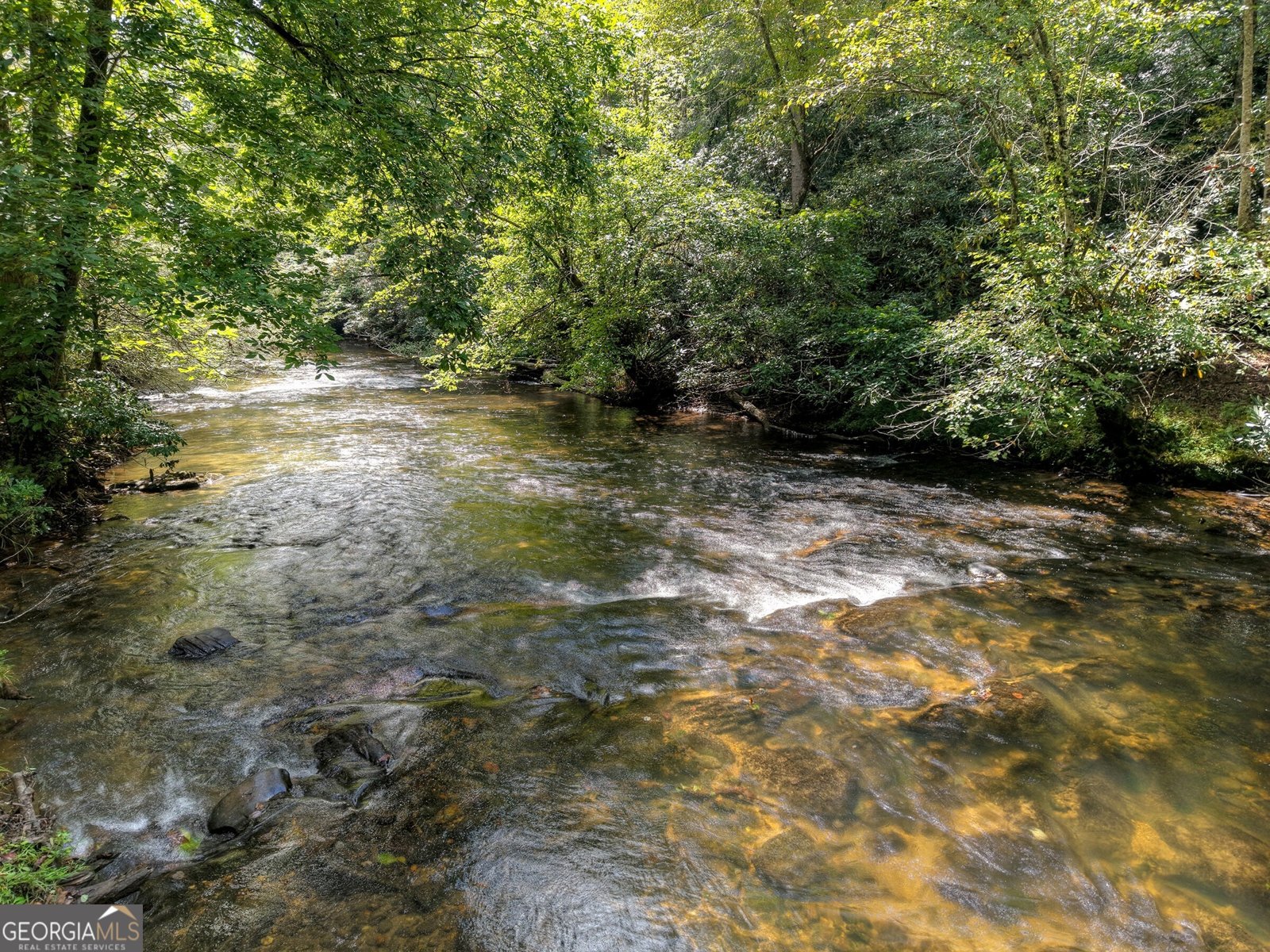 324 Cooper Creek Drive Suches - 3