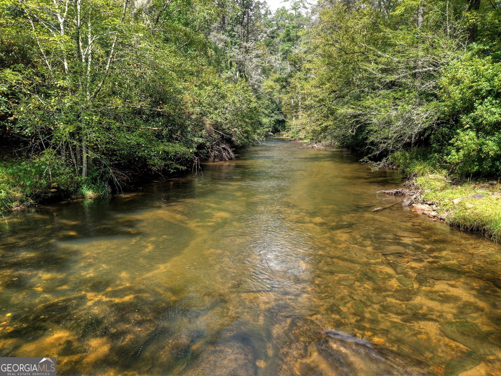 324 Cooper Creek Drive Suches - 6