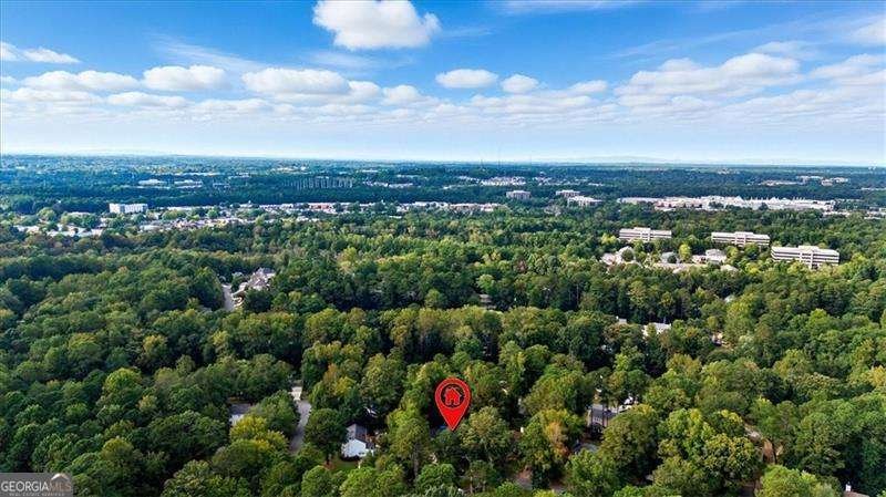 295 Crab Orchard Way Roswell - 39