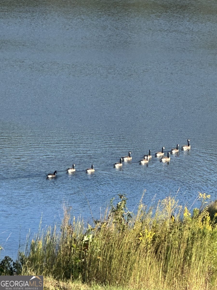 56 Fox Hollow Run Newnan - 15