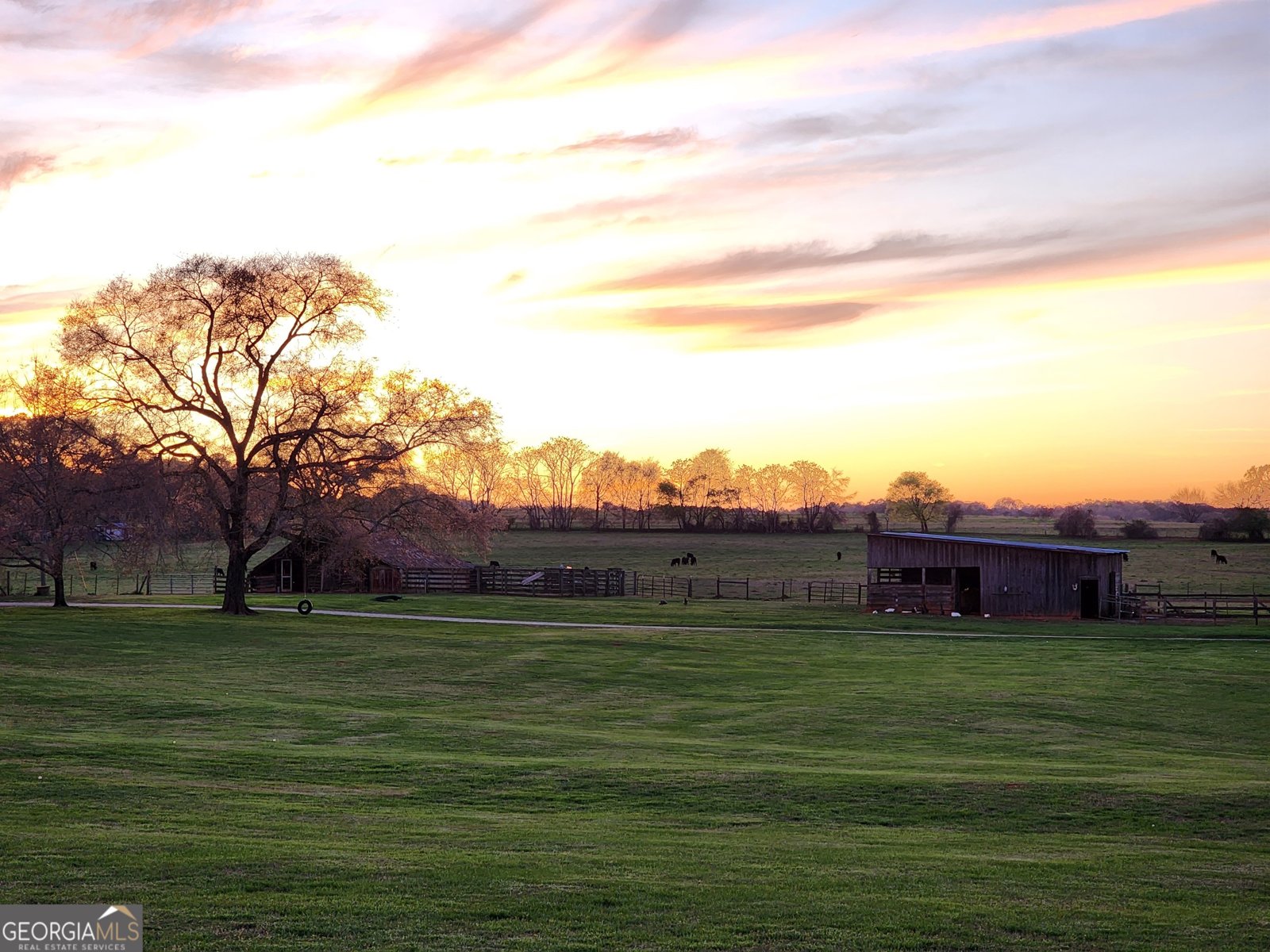 1051 Meadow Lane Madison - 1