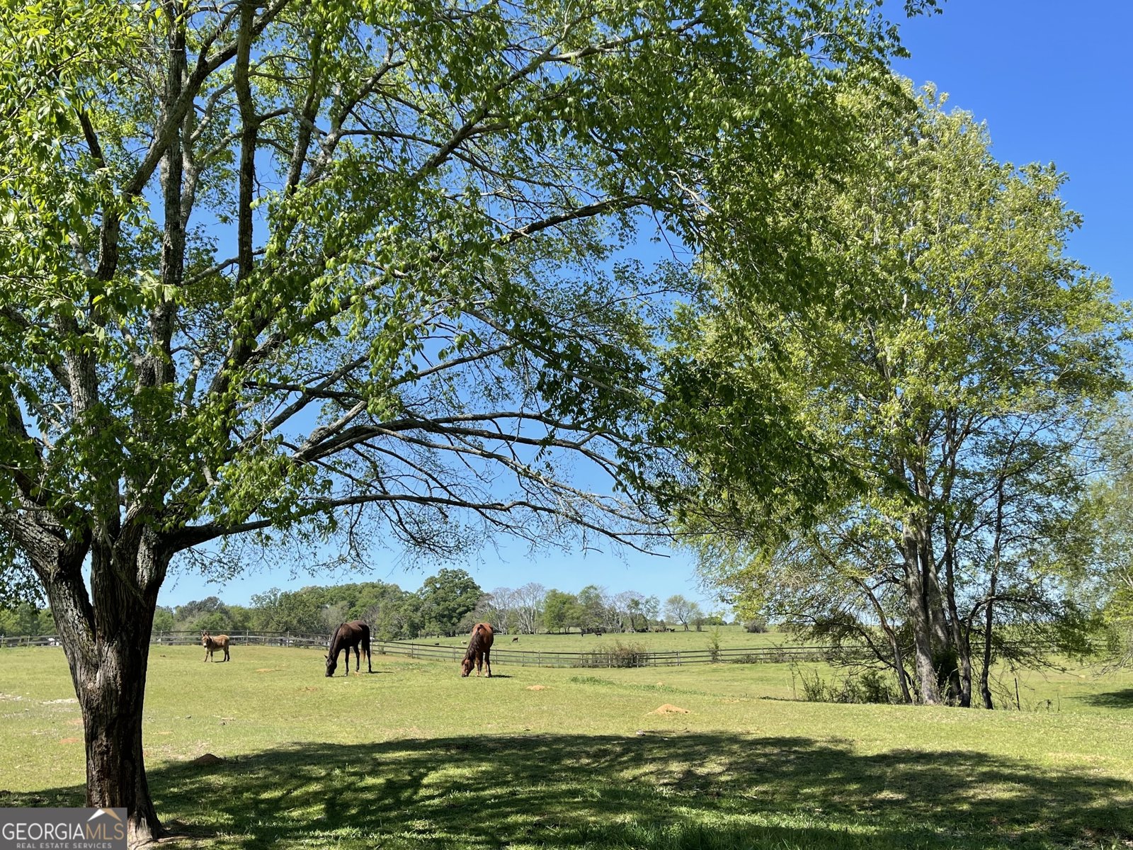 1051 Meadow Lane Madison - 104