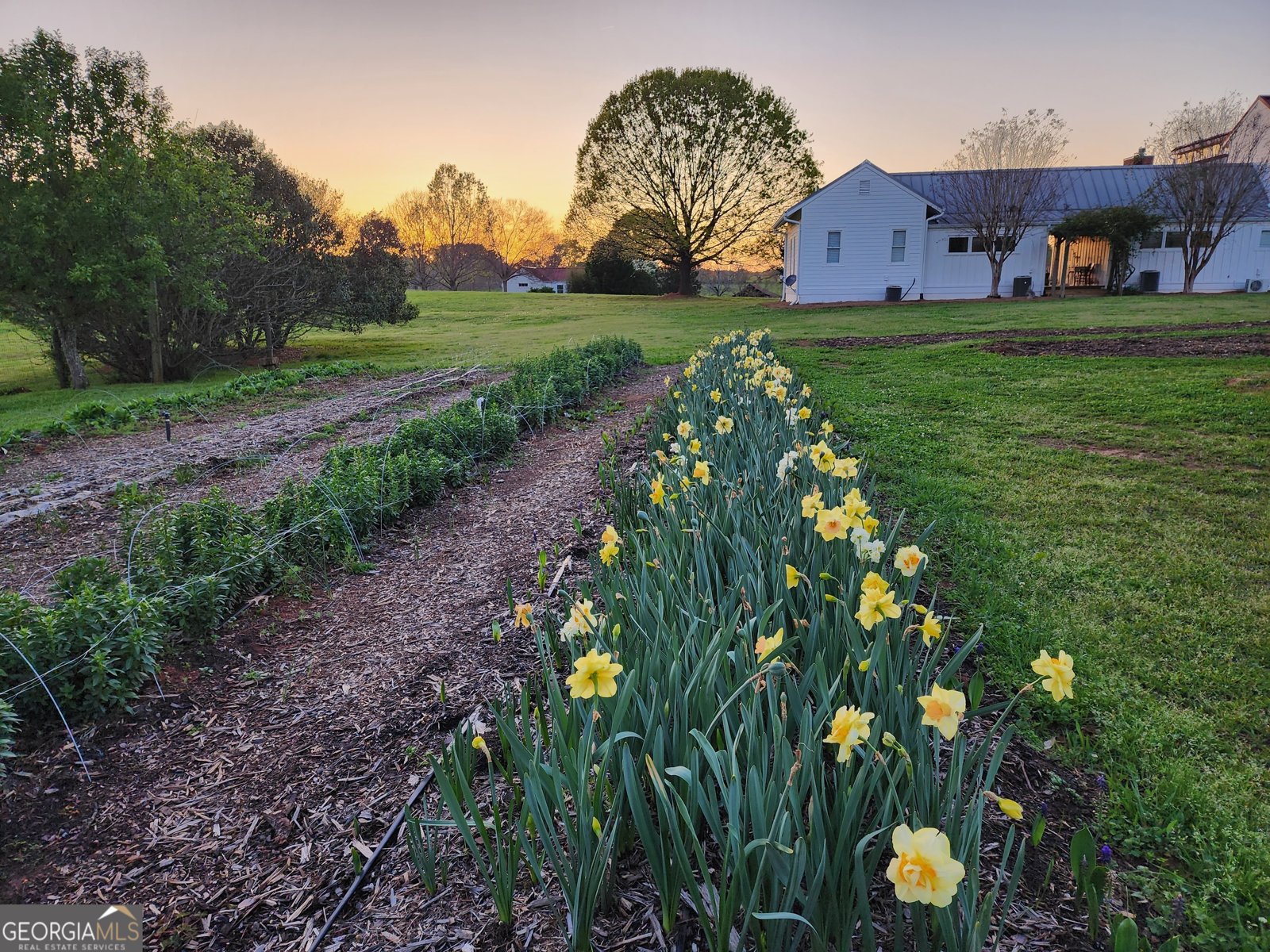 1051 Meadow Lane Madison - 2