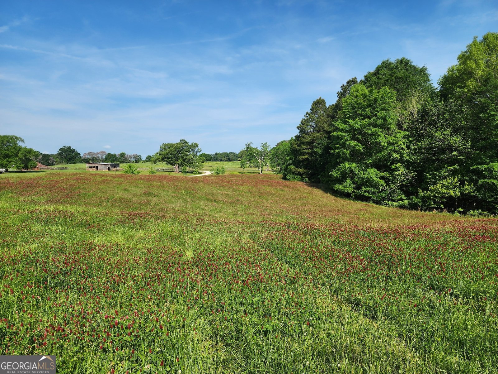 1051 Meadow Lane Madison - 50