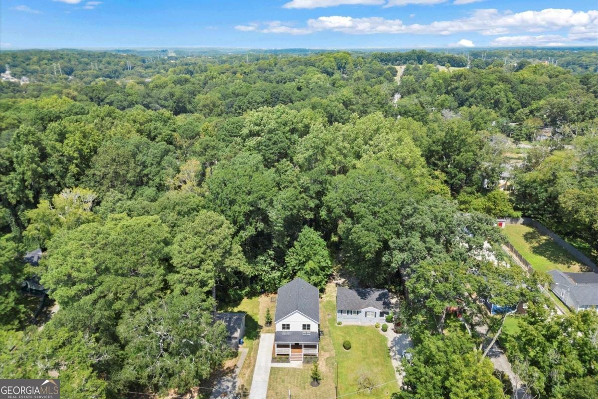 1413 Kennesaw Drive Atlanta - 3