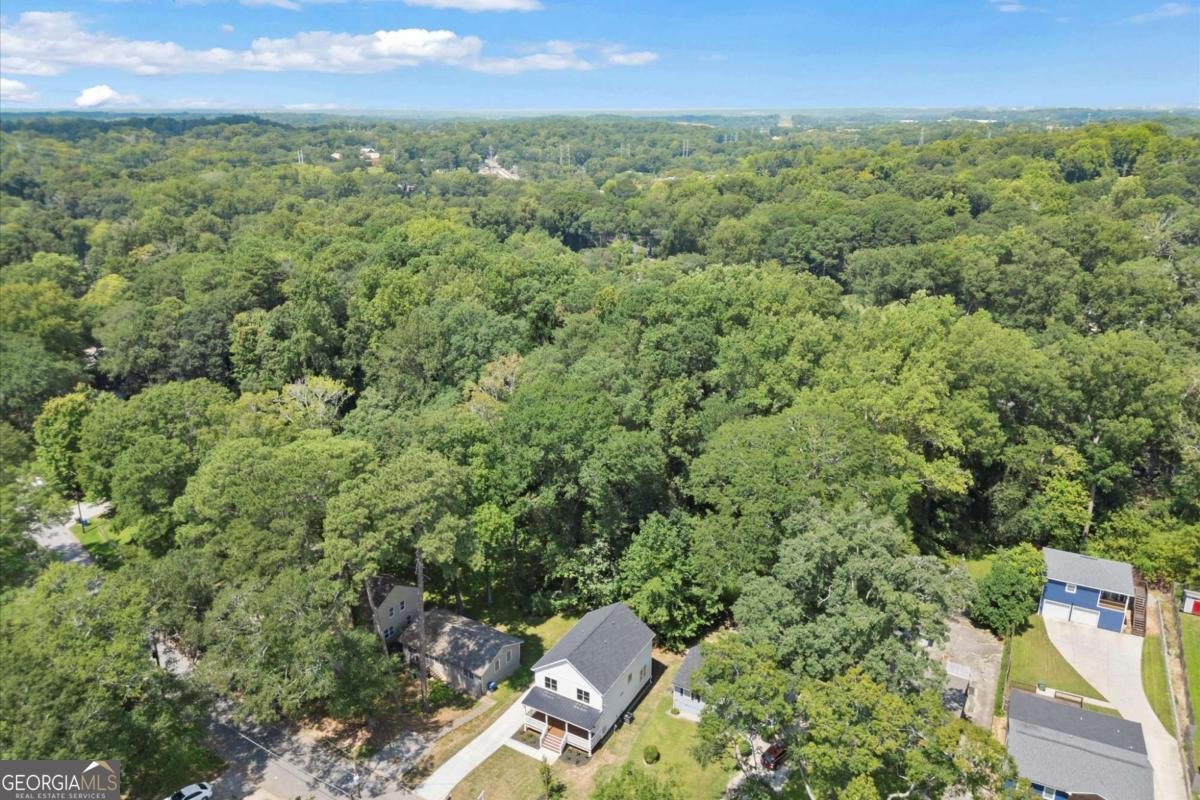 1413 Kennesaw Drive Atlanta - 4