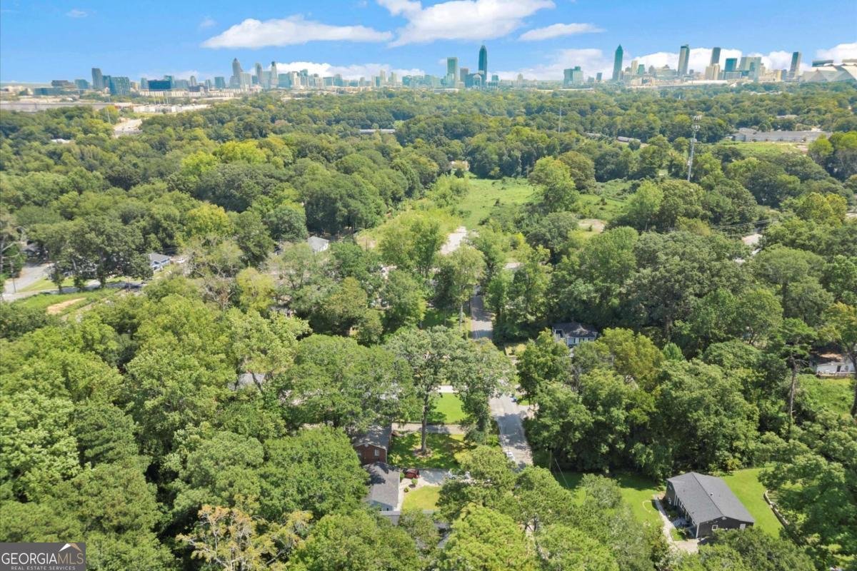 1413 Kennesaw Drive Atlanta - 7
