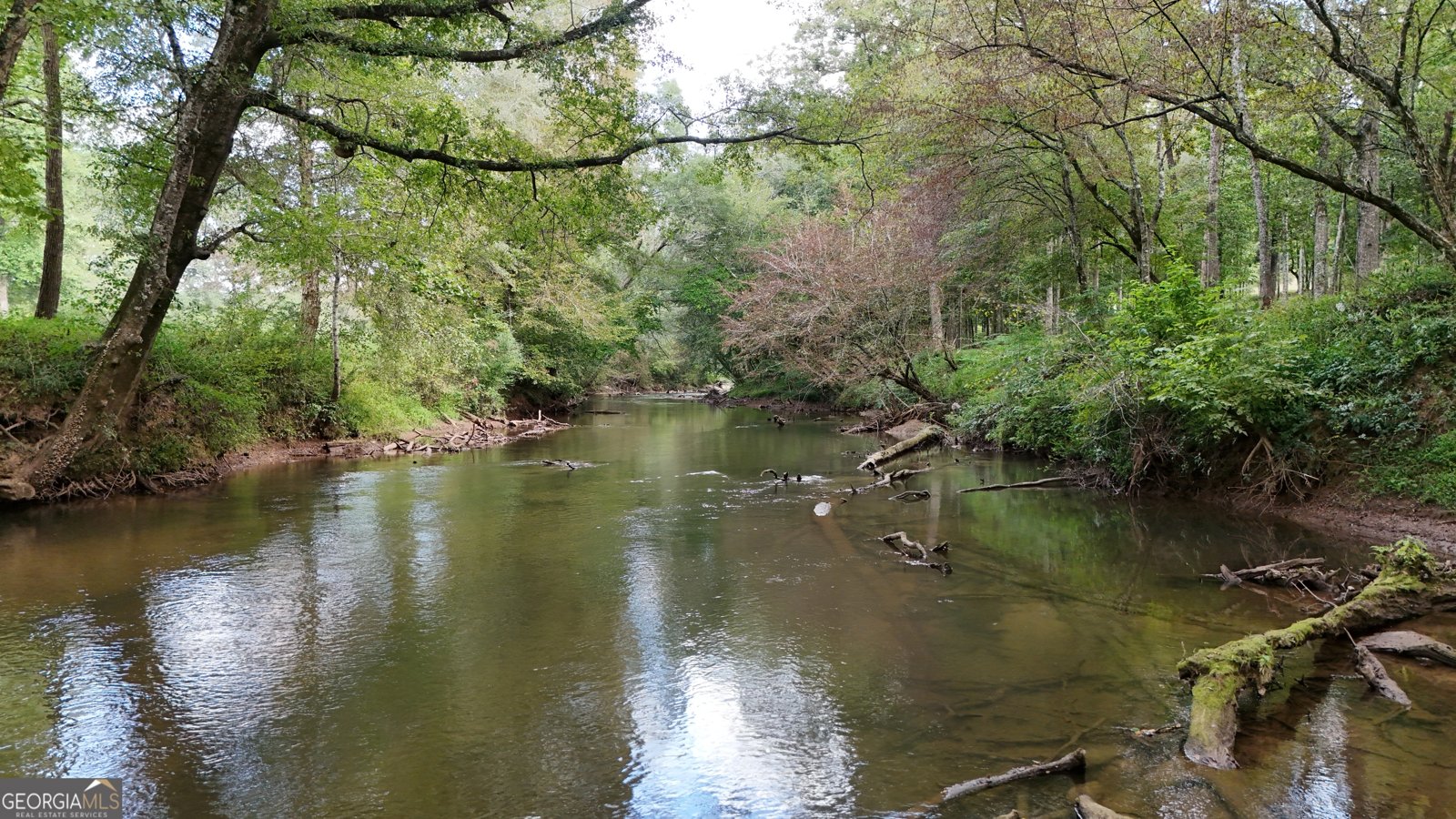 264 River Fields Drive Clarkesville - 3